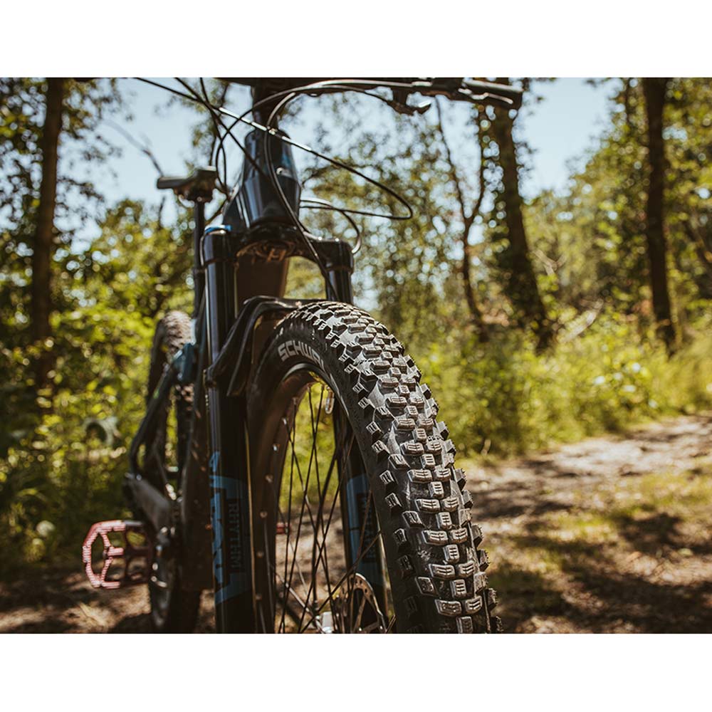Schwalbe Smart Sam Plus DD GreenGuard
