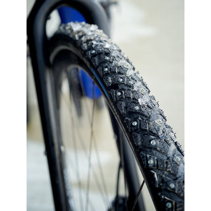 Schwalbe Marathon Winter Raceguard