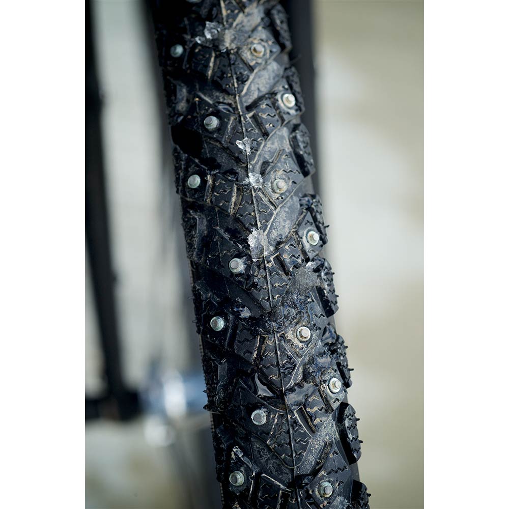 Schwalbe Marathon Winter Raceguard