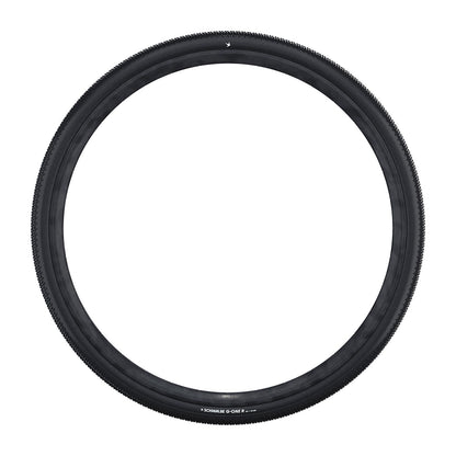 Schwalbe G-One R Performance RaceGuard Folding TLE