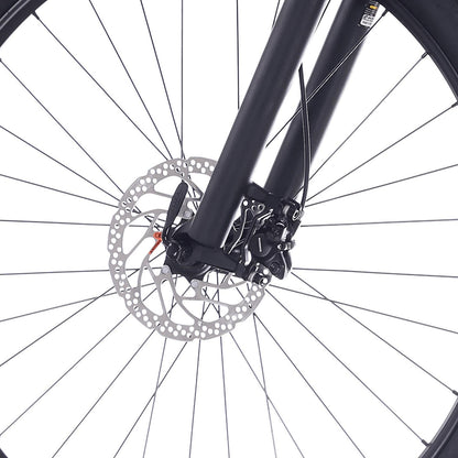 Superior Rock Machine eXC 6.2 Sand MTB E-Bike
