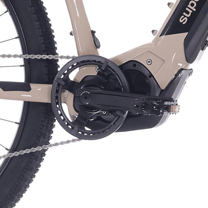 Superior Rock Machine eXC 6.2 Sand MTB E-Bike