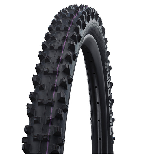 Schwalbe Dirty Dan Downhill 29er