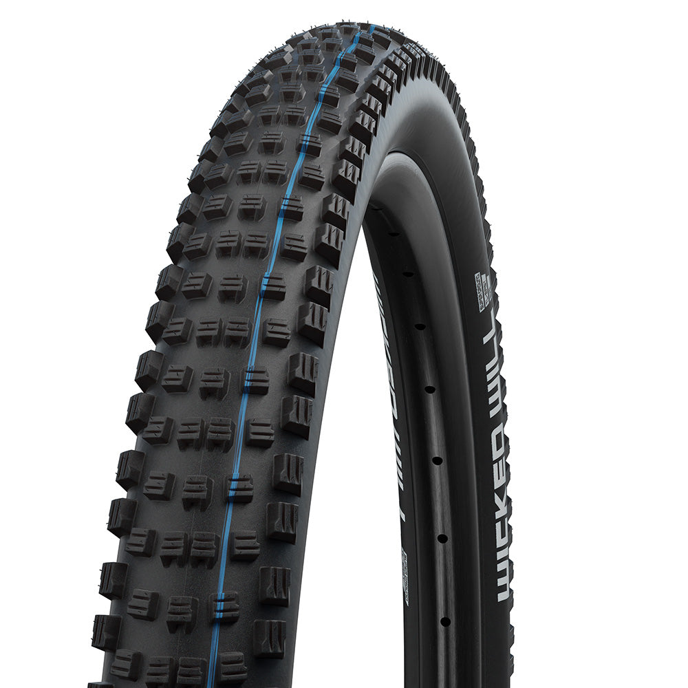 Schwalbe Wicked Will 29