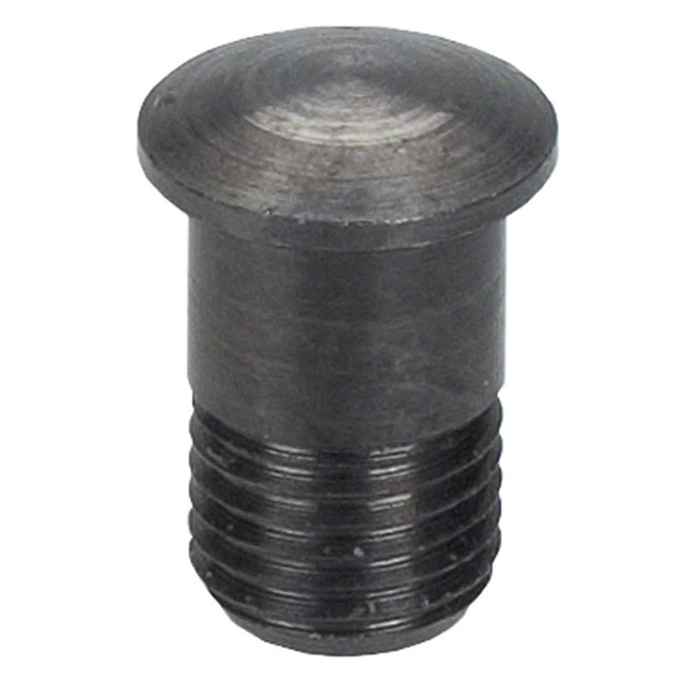Campagnolo Zonda Magnetic Nipple Screw 2013+