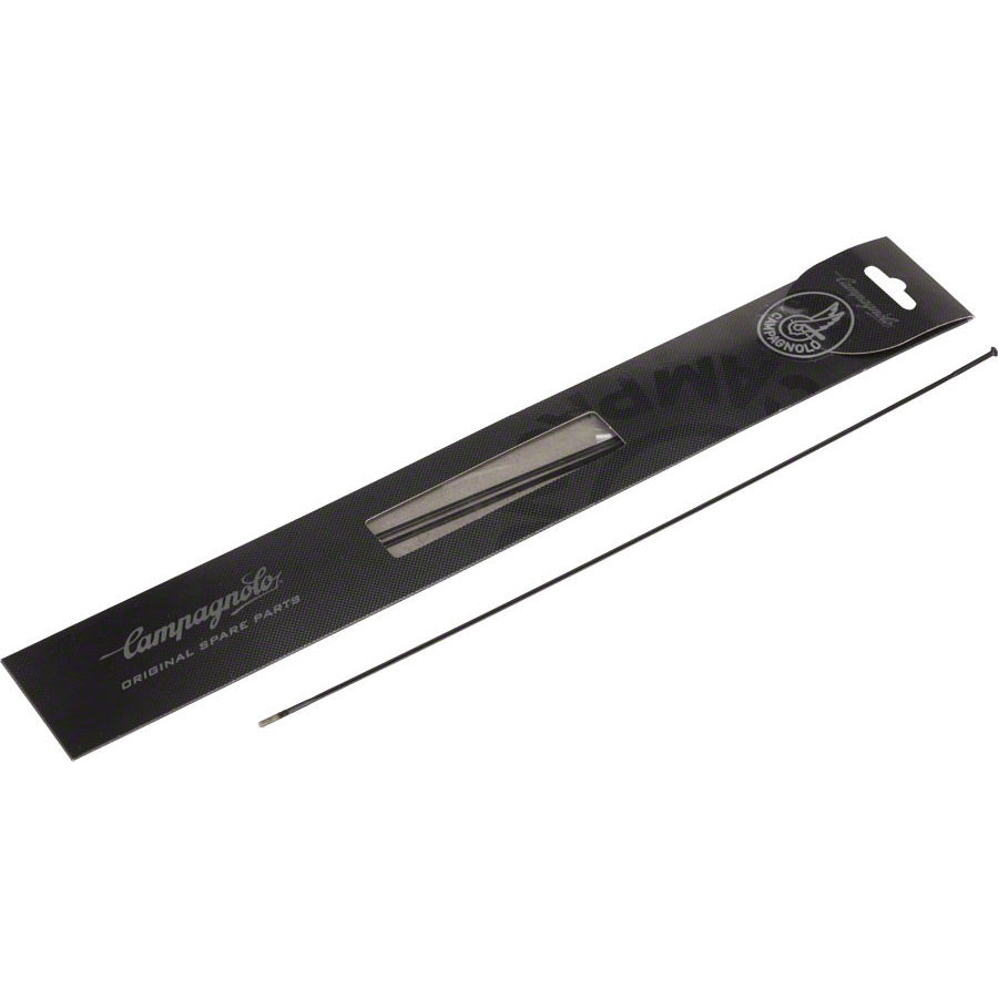 Campagnolo Bora 50 front spokes