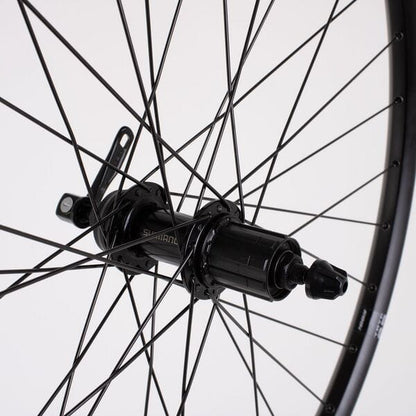 M Part Wheels M25 QR 135x10 8, 9, 10-sp, MTB 11-sp TLR Rear Wheel 29