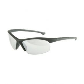 Image of Endura Stingray Polarized Glasses 4 Lens Set
