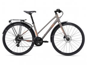 Giant Liv Alight Disc 2 City Womens Sports Hybrid Bike  2022 - 