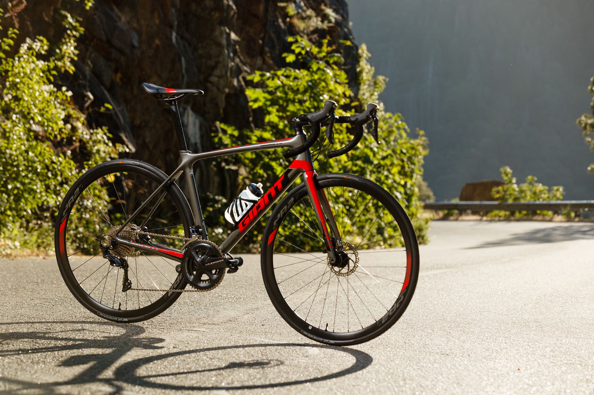 Giant tcr advanced disc 1 2019 2025