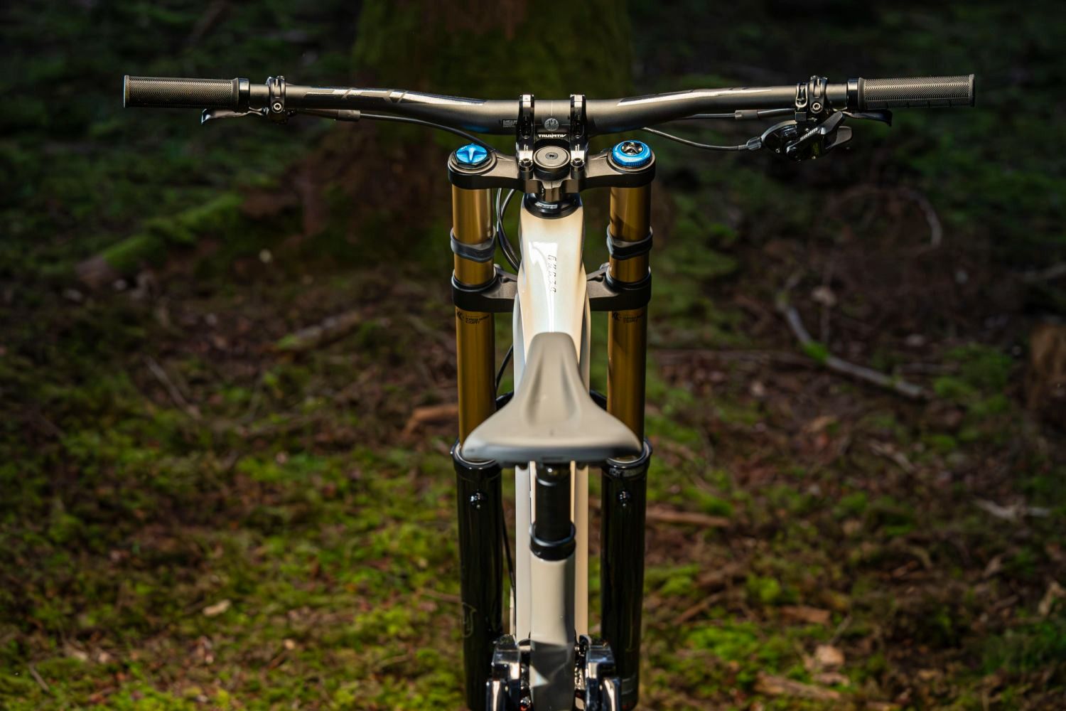 Downhill bike giant glory top