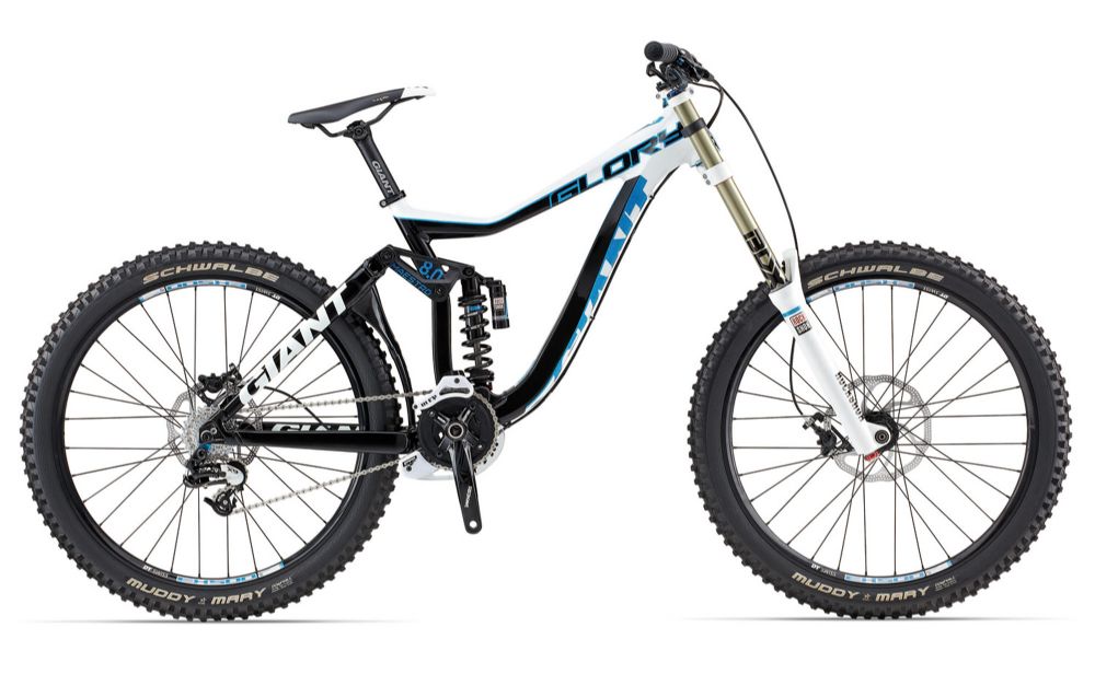 giant glory 1 2013