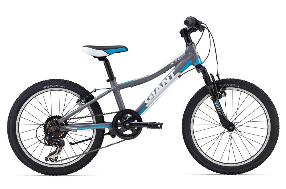 giant 20 inch mountain bike