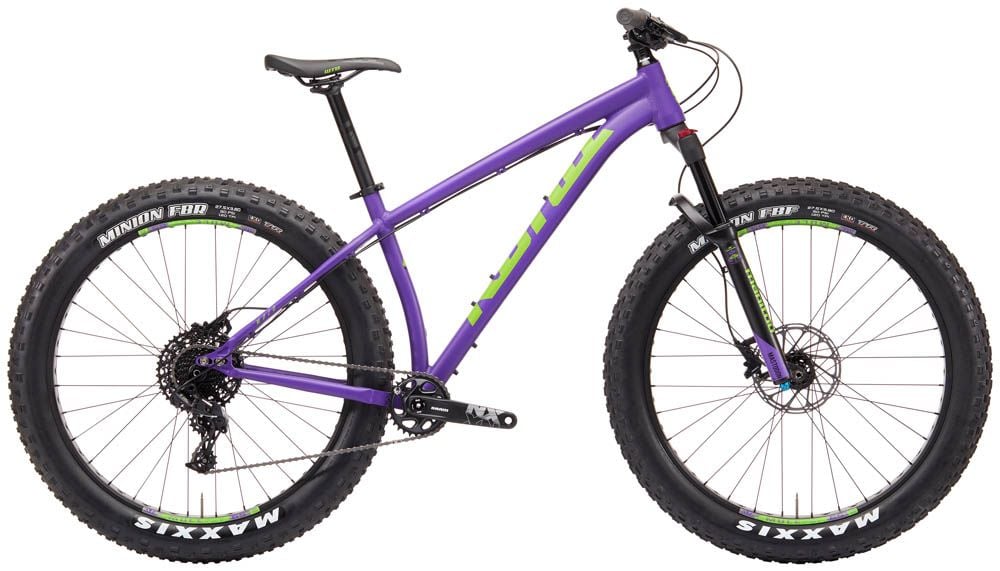 Fat bike 2019 shop