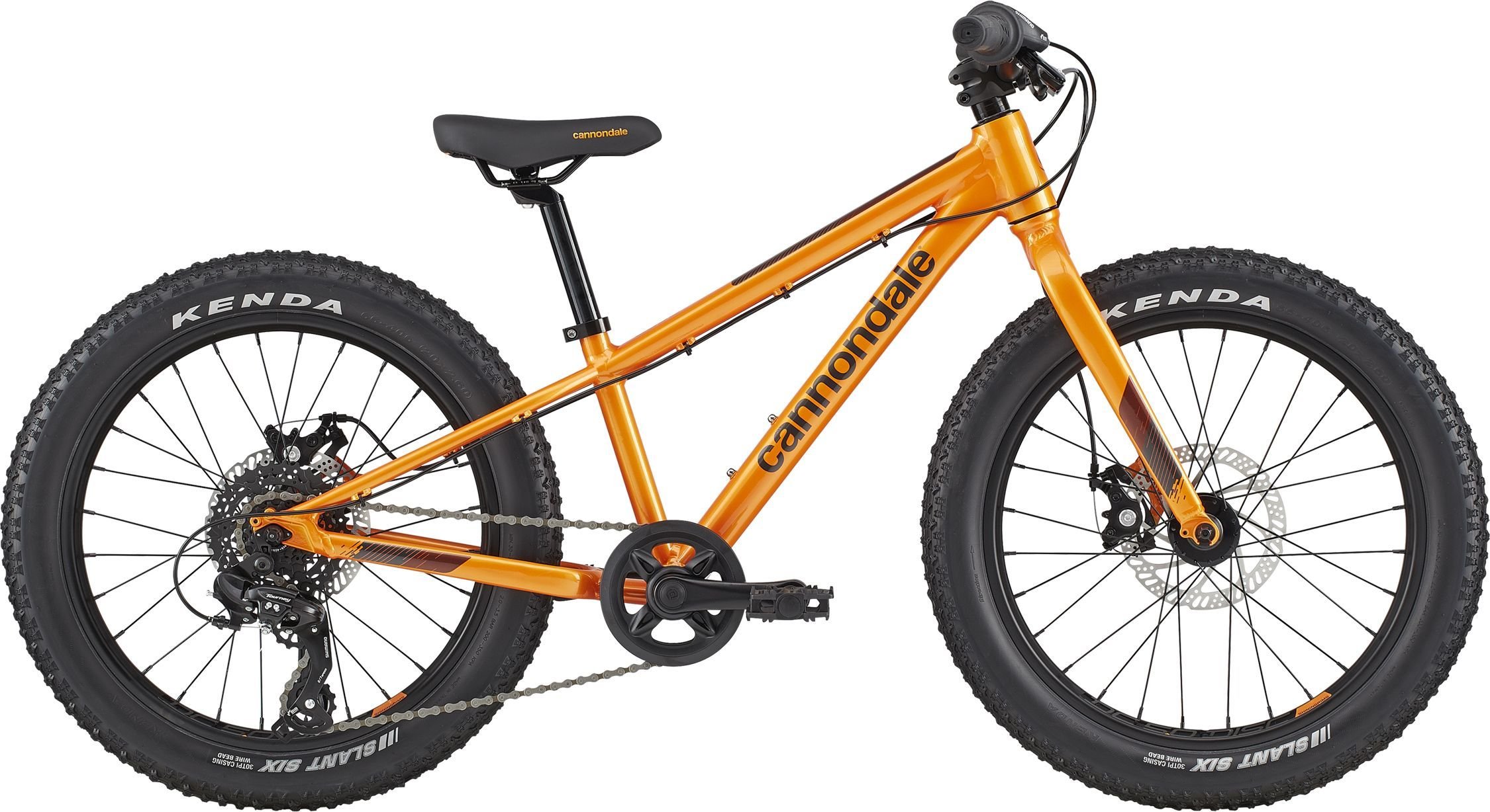 which cannondale bike to buy